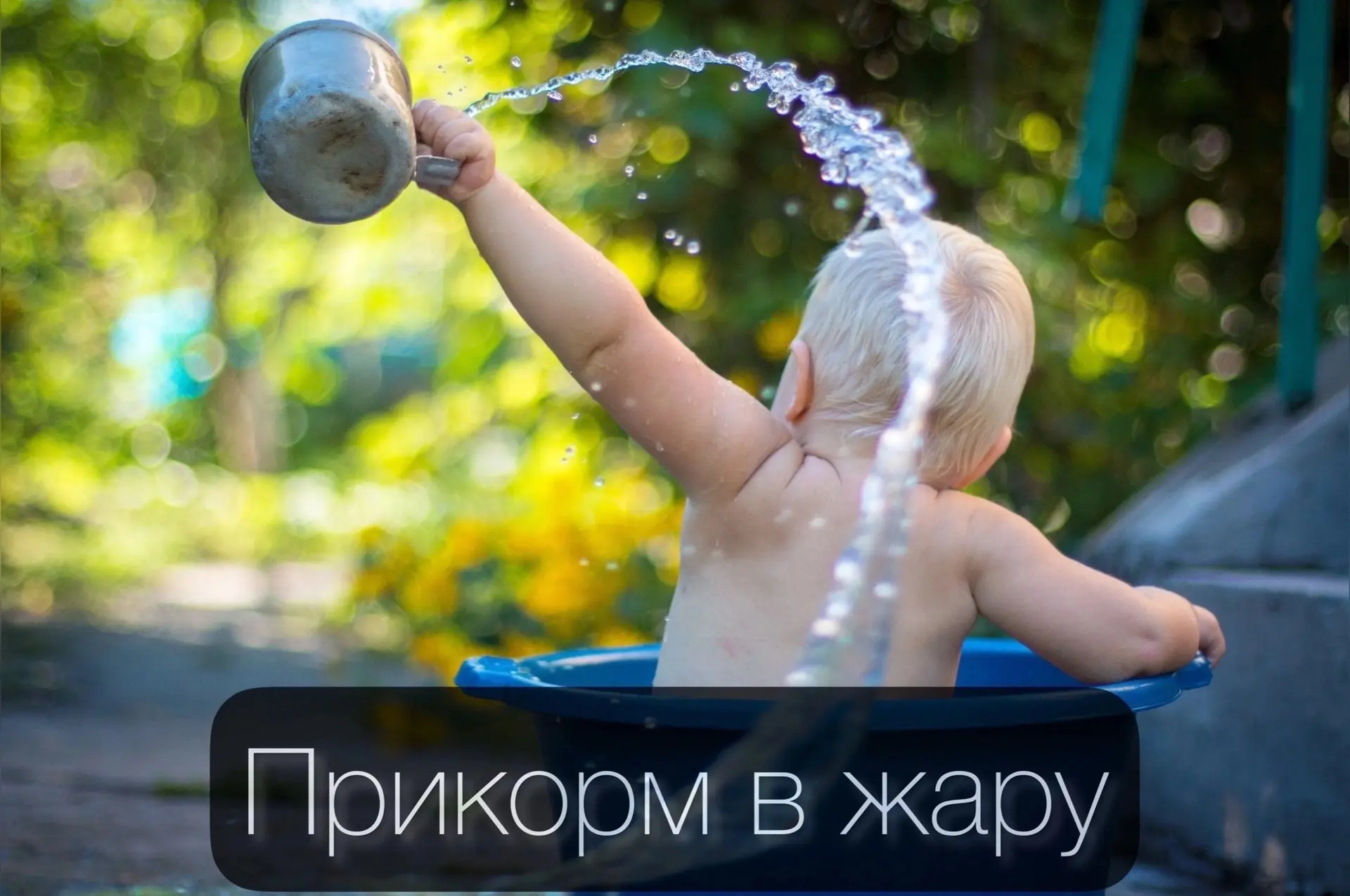 Прикорм в жару

Потеря аппетита довольно распространена в жаркую погоду и затрагивает как взрослых, 
