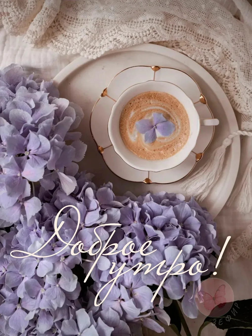 💜То, что мы впускаем в себя через взгляд, незаметно формирует нашу душу. Наш фокус вни...