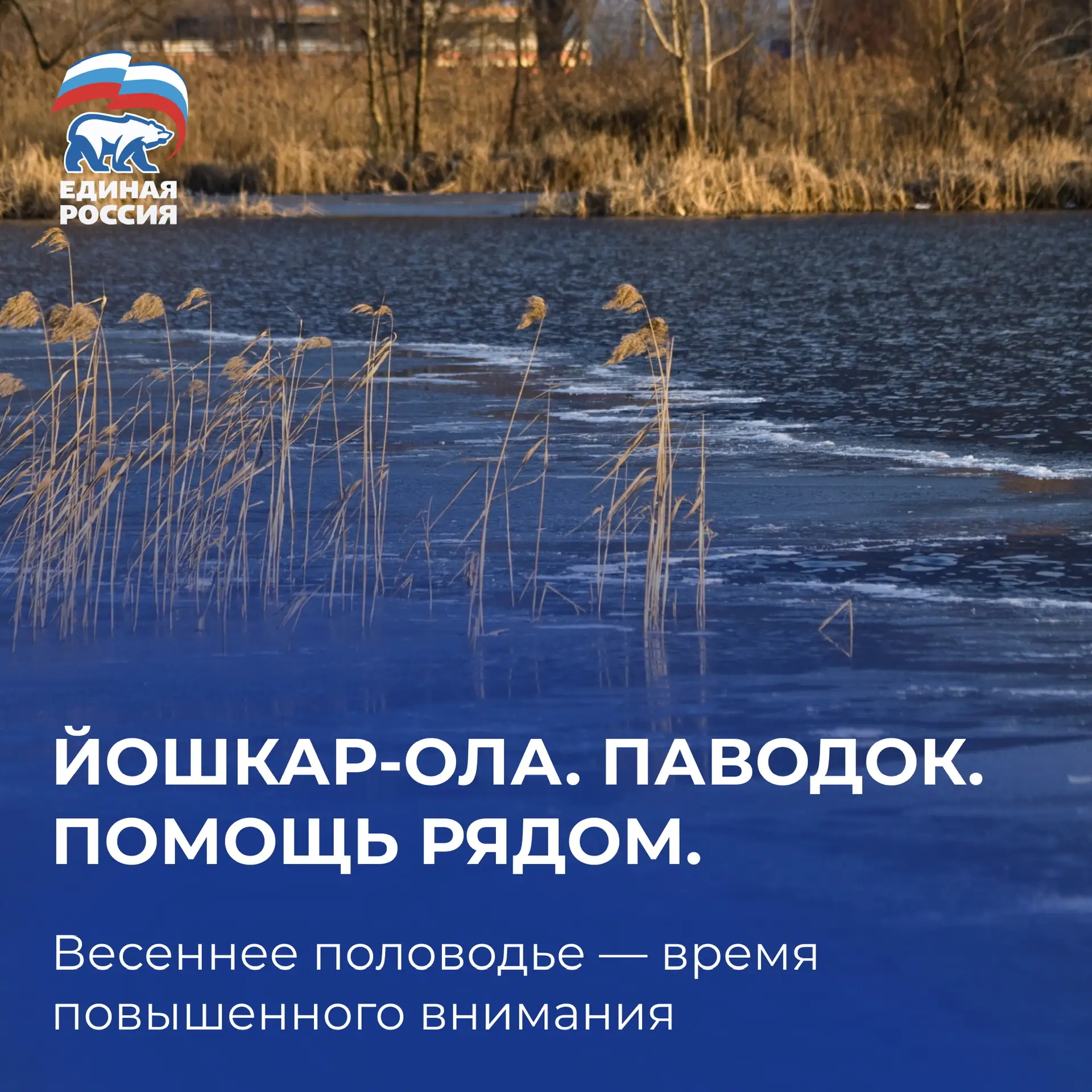 Дорогие друзья, земляки!