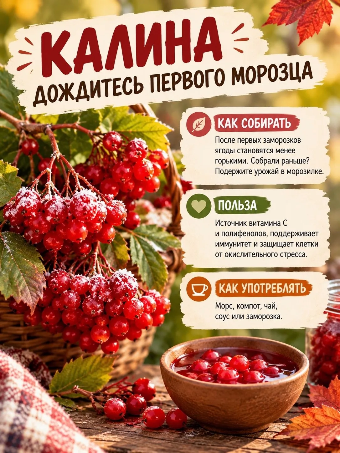 Самые вкусные после первых заморозков: какие ягоды нужно собирать осенью 🫐✨