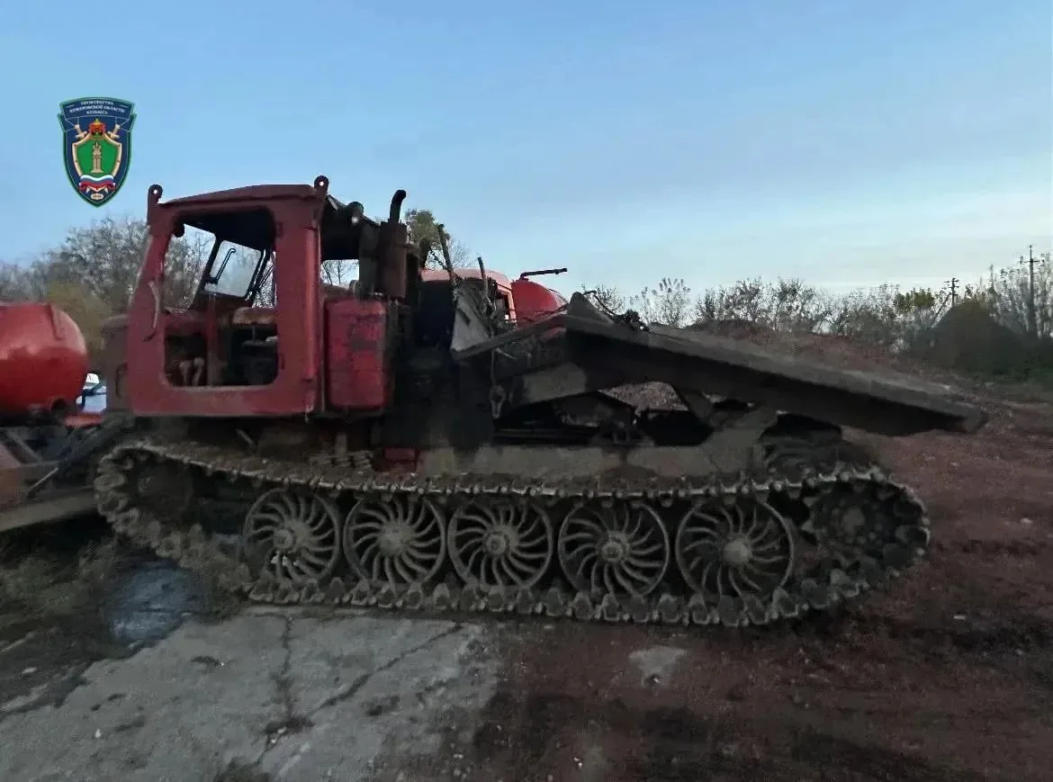 Житель Новокузнецка получил 2 года принудительных работ за незаконную рубку леса 🌲