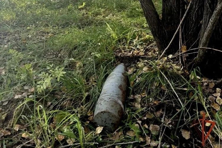 ❗️Грибник нашел боевой снаряд, оставшийся после взрывов на военном складе под Ачинском