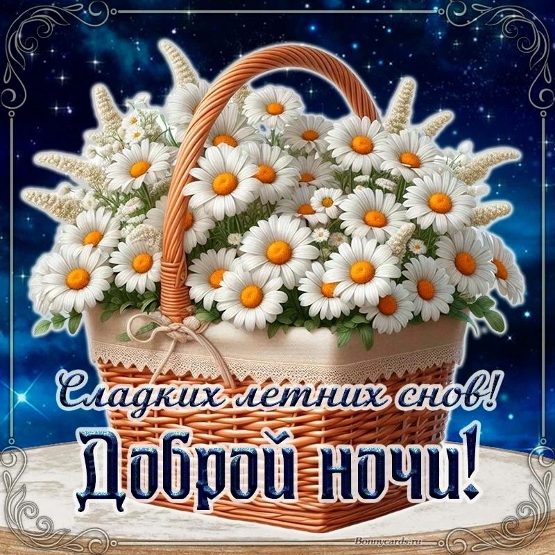 ОТКРЫТКИ