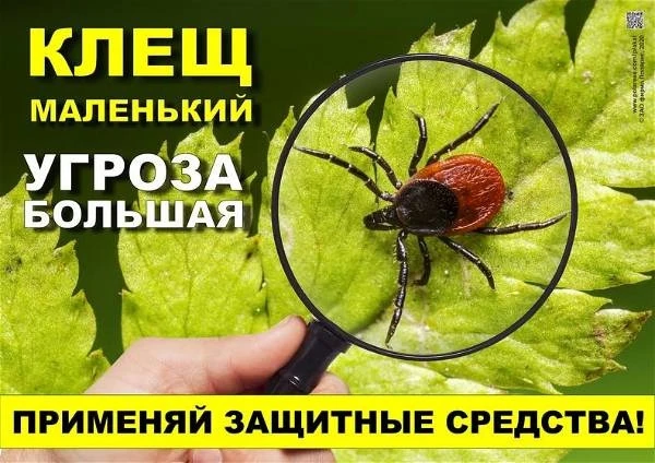 ❗Внимание: сезон клещей! 
👫Летние каникулы - это время, когда люди чаще бывают  на природе, в лесу�