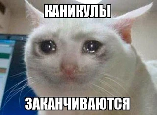 До нового учебного года осталось совсем чуть-чуть!