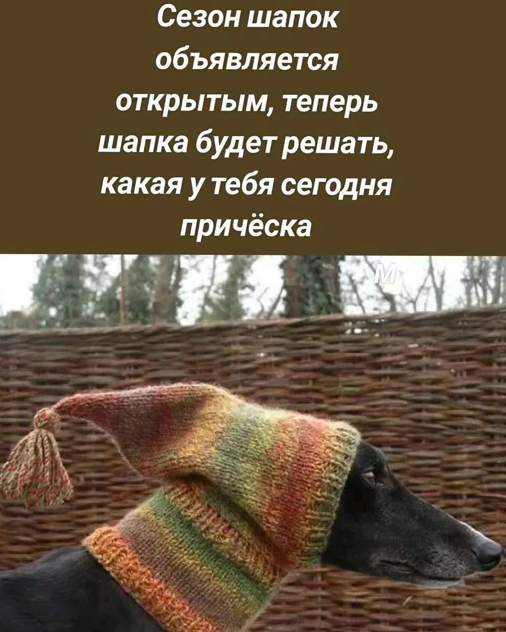 #хорошегодня