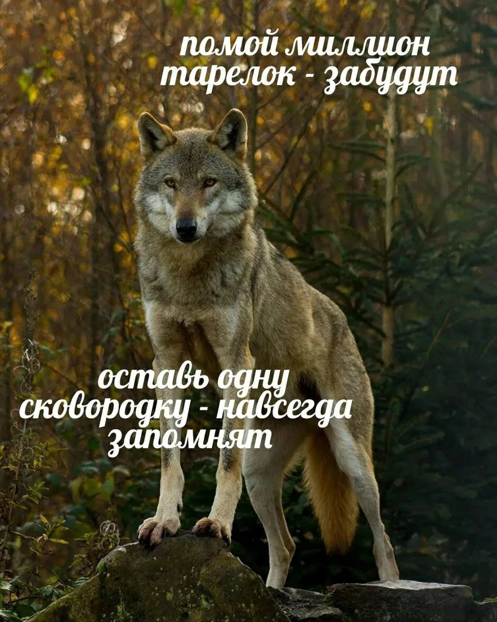 ПЕРВЫЙ МЕМНЫЙ