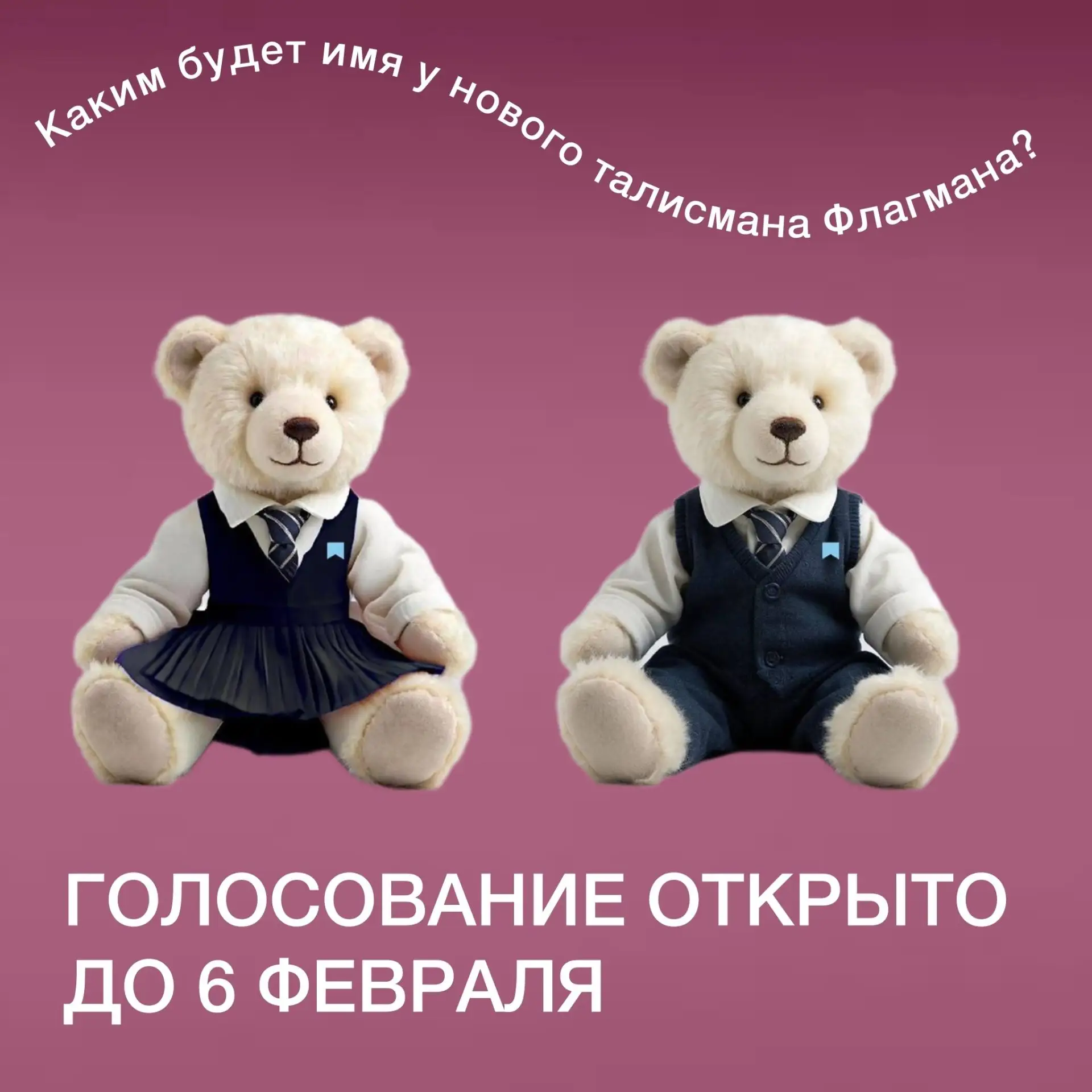 ️ Голосуйте за имя для талисмана Флагмана  🩵 До 6 февраля 20:00 по местному времени вы можете выбрат