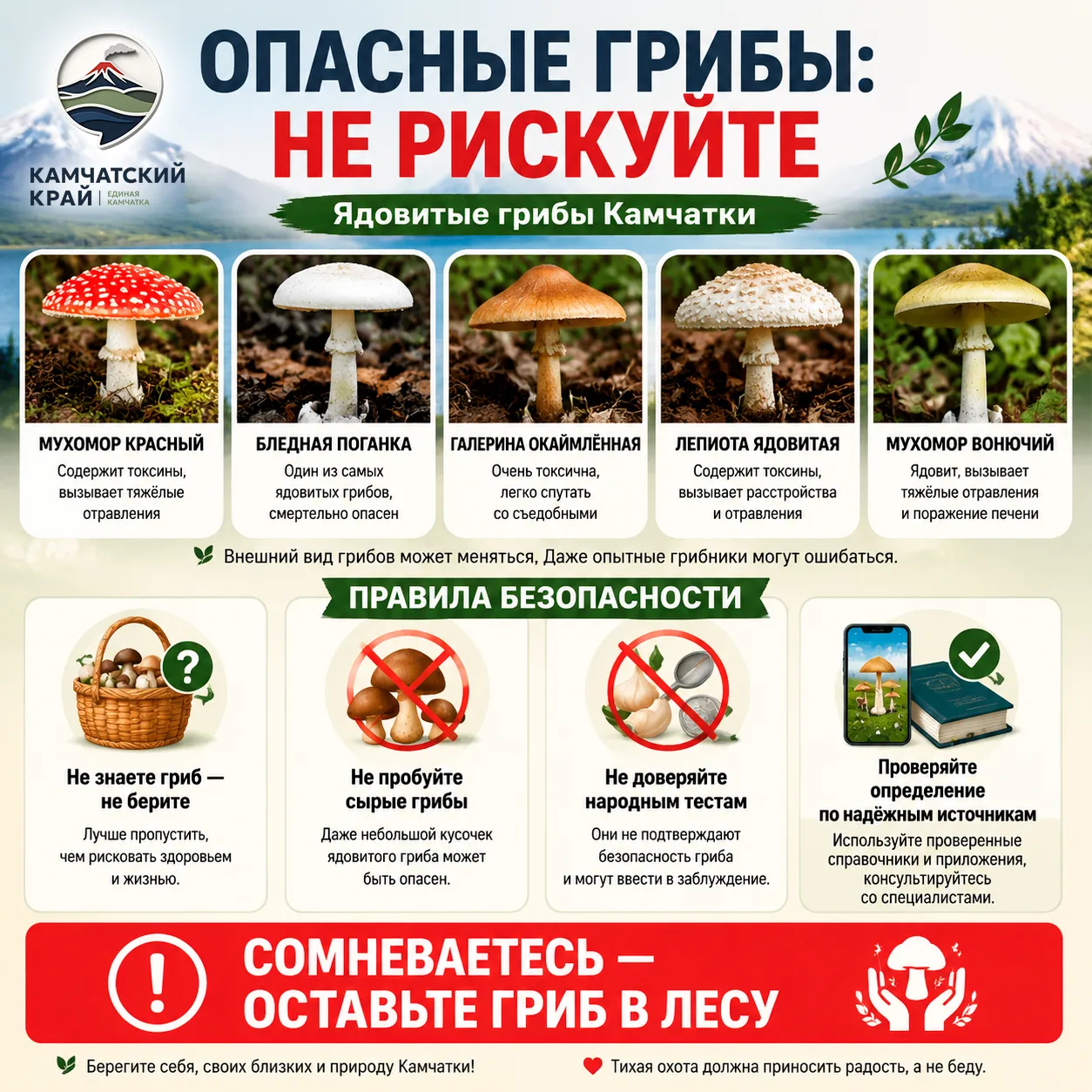 🍄 Продолжаем тему тихой охоты, но с обратной стороны: ОПАСНЫЕ ГРИБЫ КАМЧАТКИ!