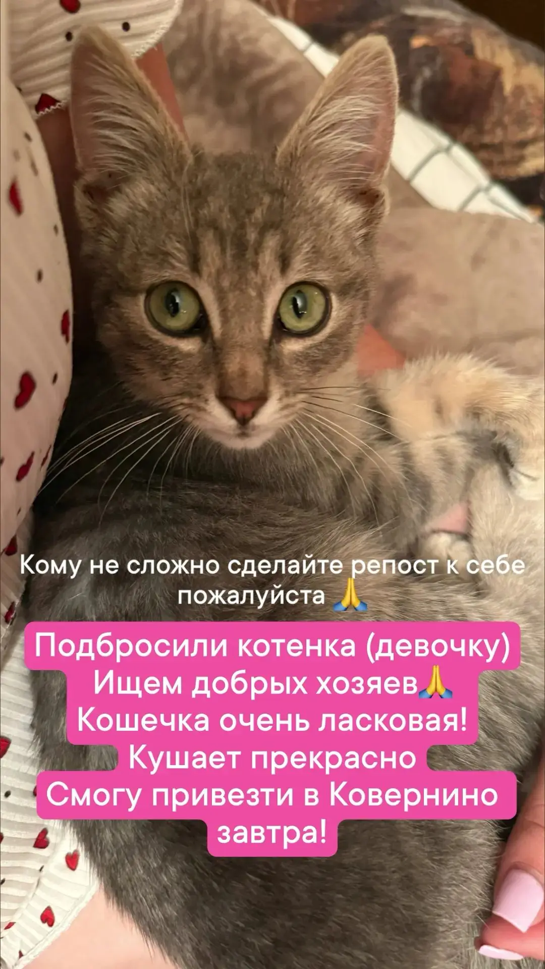 Пост доброты. ✅