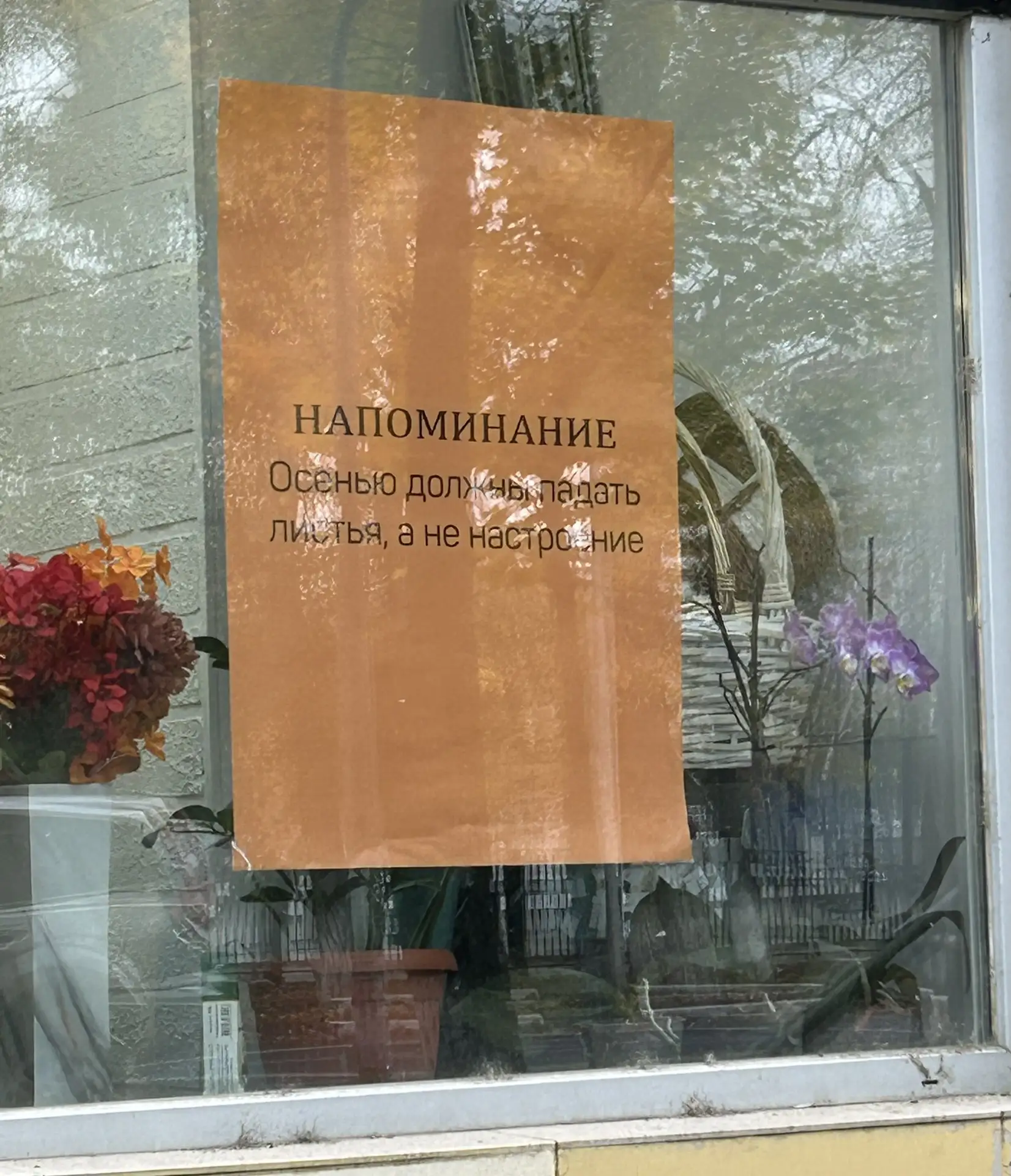 Просто напоминание🫶