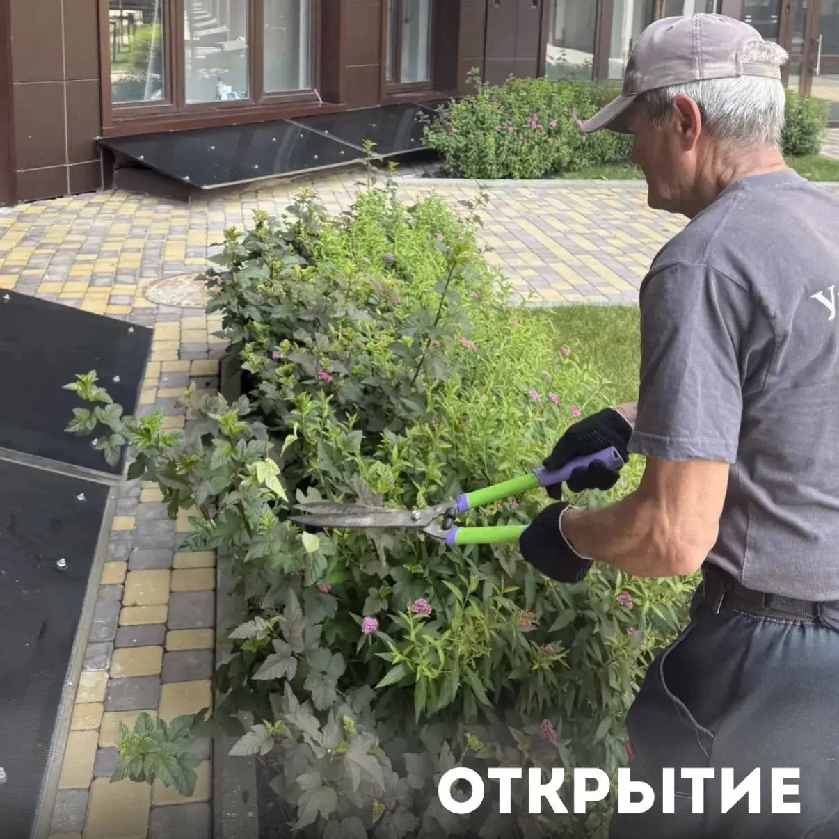 Специалистами управляющей компании выполнен комплекс работ по уходу за зелёными насаждениями на прид