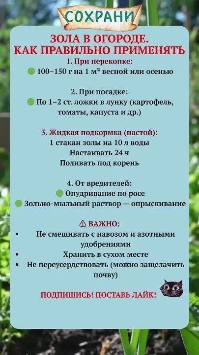 💡ПОЛЕЗНАЯ ИНФОРМАЦИЯ💡
БЕРЕМ НА ЗАМЕТКУ ДРУЗЬЯ📝

👉Дачный вопрос