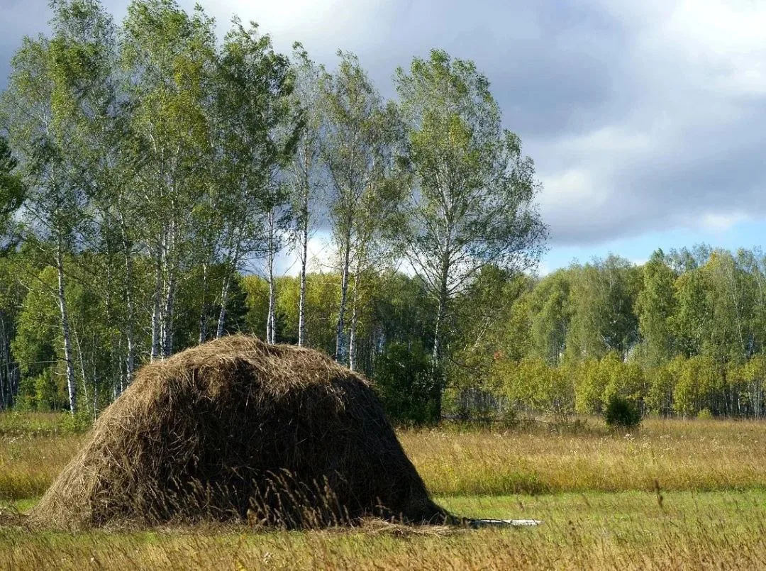 Лунный календарь на завтра
14 июня, воскресенье
Луна в Близнецах, убывает

День неблагоприятный для 