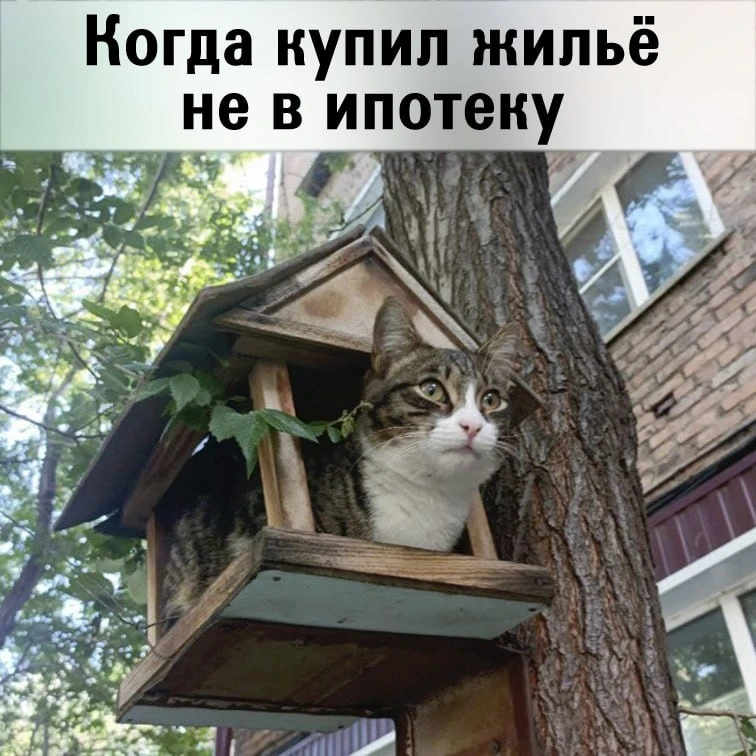 Решэлторъ Красный Мустанг | Блог Алексея Калашникова: