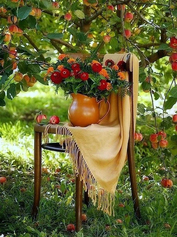 🕊️🍎Лето постепенно заканчивается, а в воздухе витает аромат спелых яблок — значит нас...