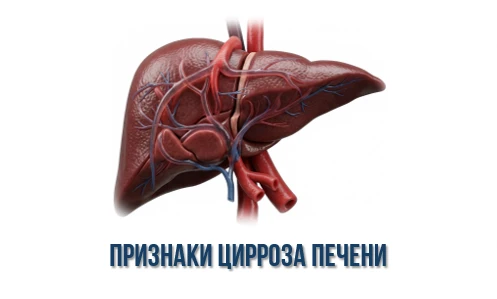Печень — наш молчаливый труженик, который терпит до последнего. Она не болит до тех пор...