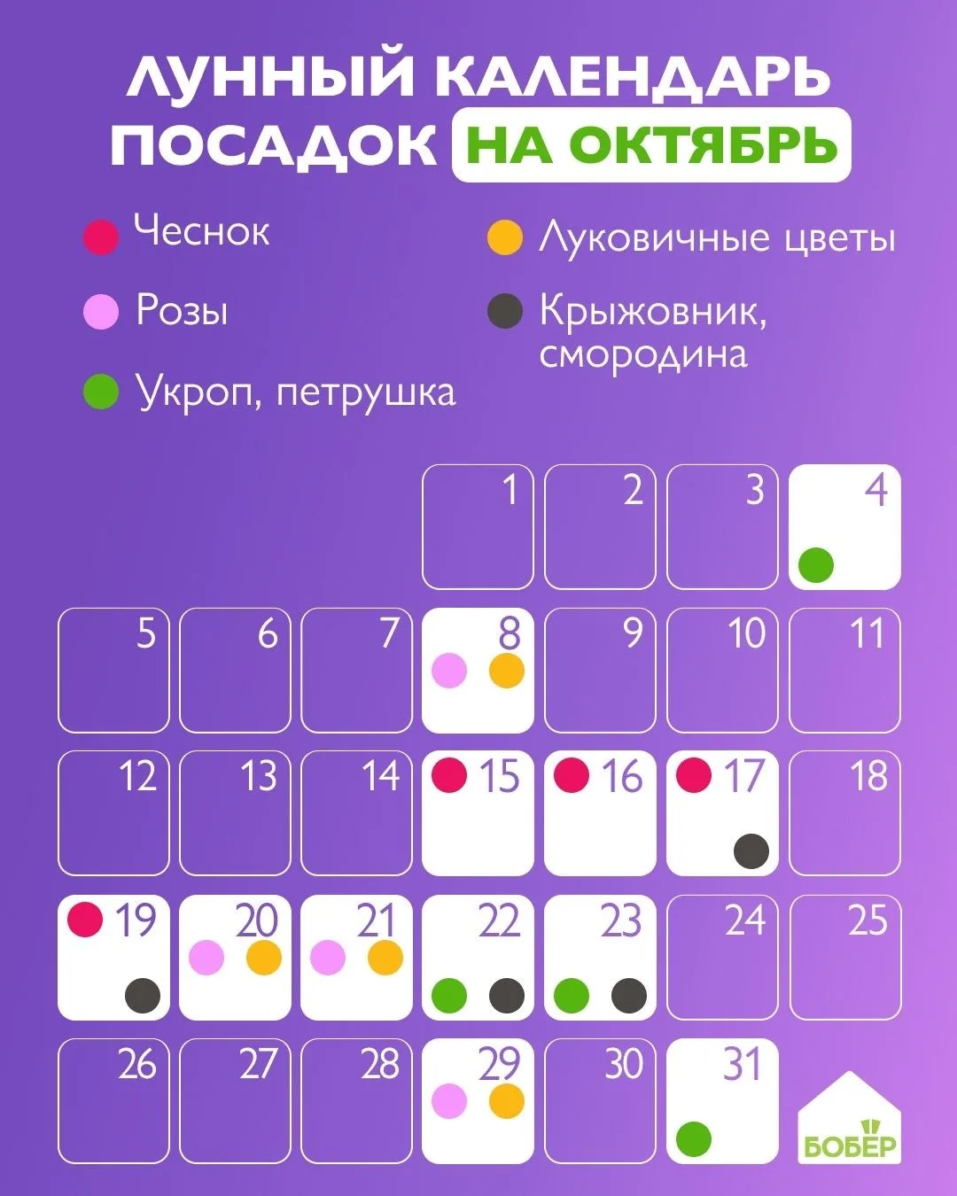 Лунный календарь подскажет, в какие дни посадить эти морозостойкие растения в октябре 💚