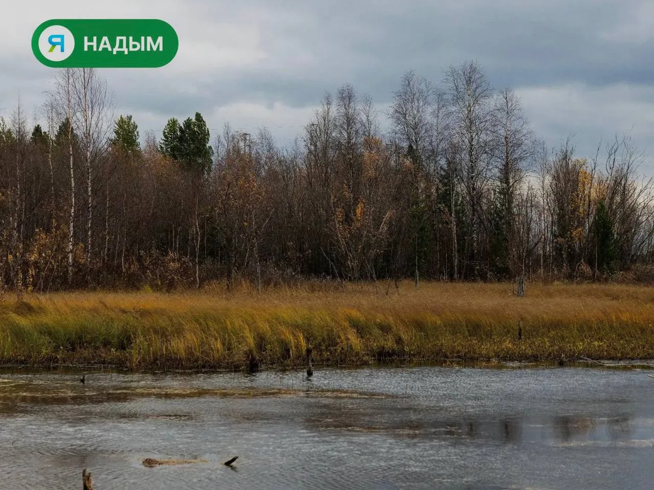 Доброе утро, Надым! 🥱