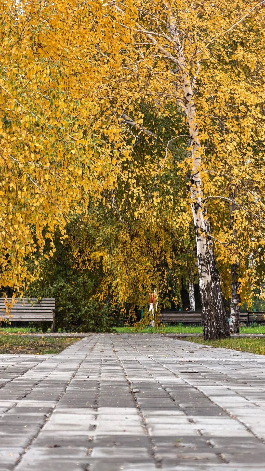 Октябрь 2026 года