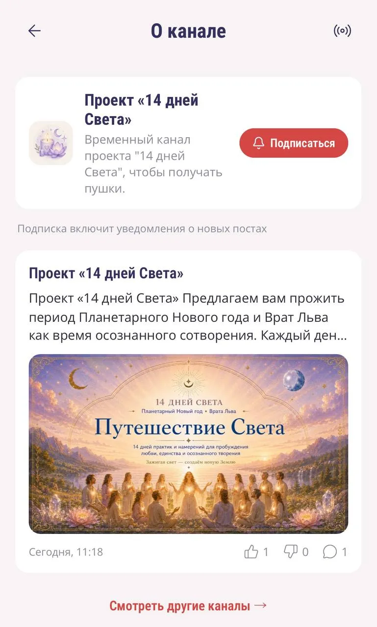 В приложении «Ключики» создала временный канал для этого проекта, чтобы пушки приходили, что новая к