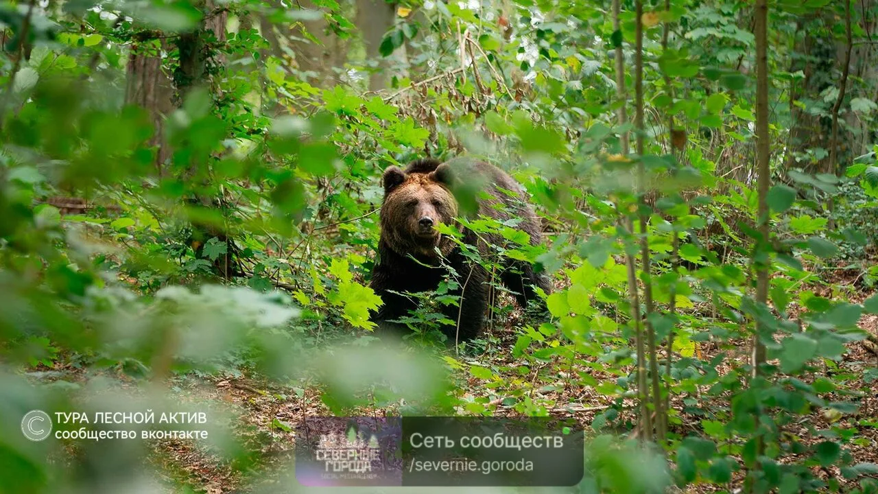 Из первых уст