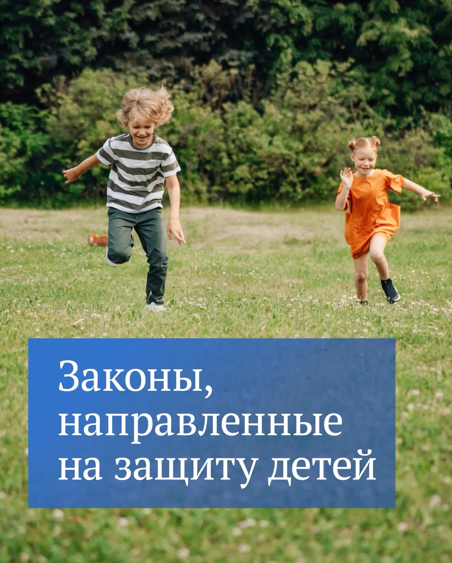 Защита детей — один из приоритетов работы Государственной Думы. Об этом заявил Председа...