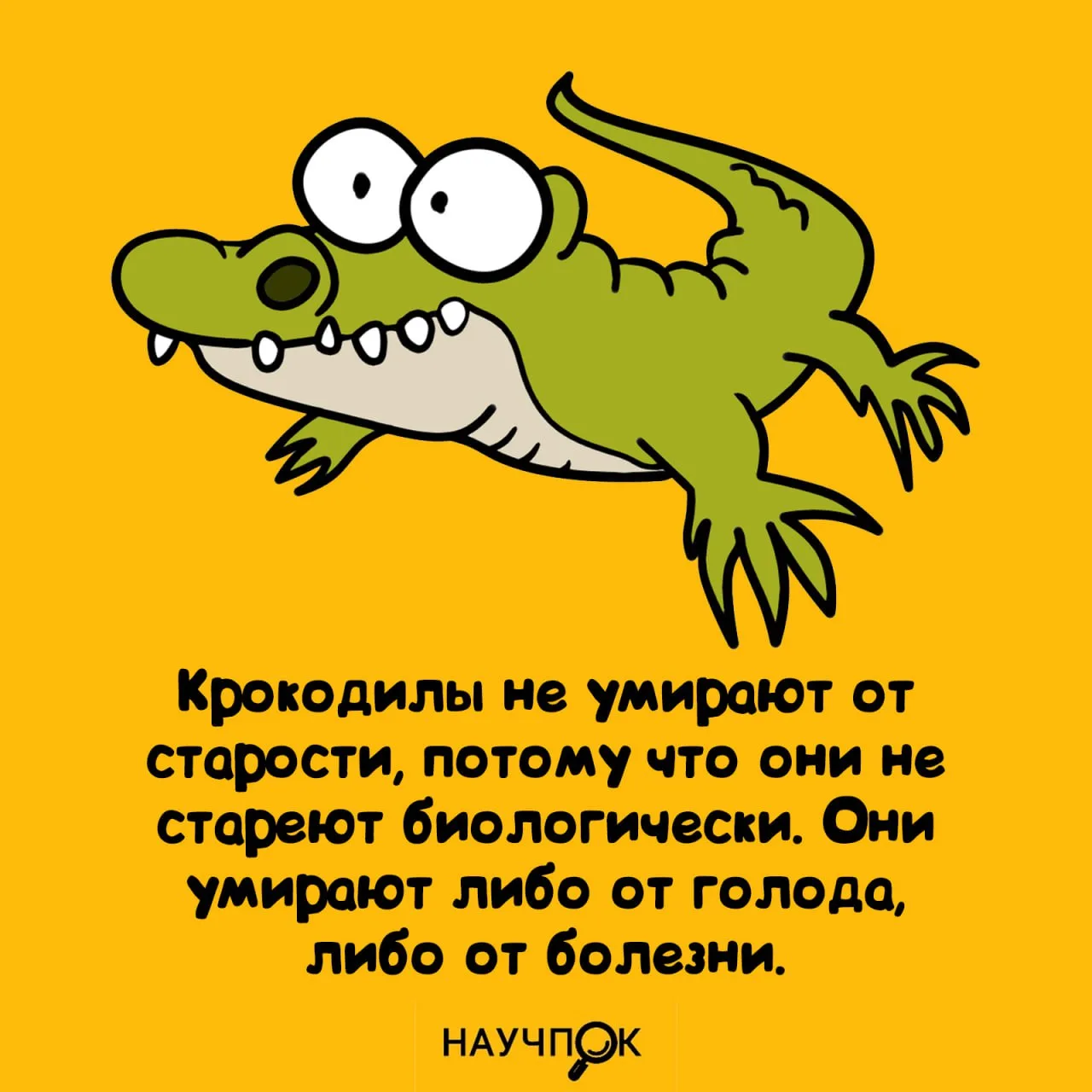Научпок | Подписаться