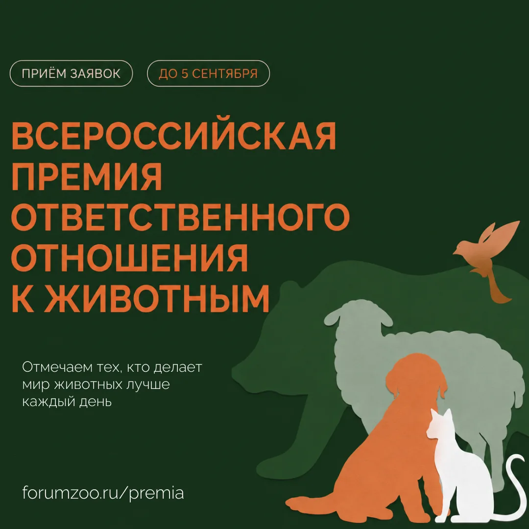 🏆 Всероссийская премия в сфере зоозащиты: приём заявок продолжается!