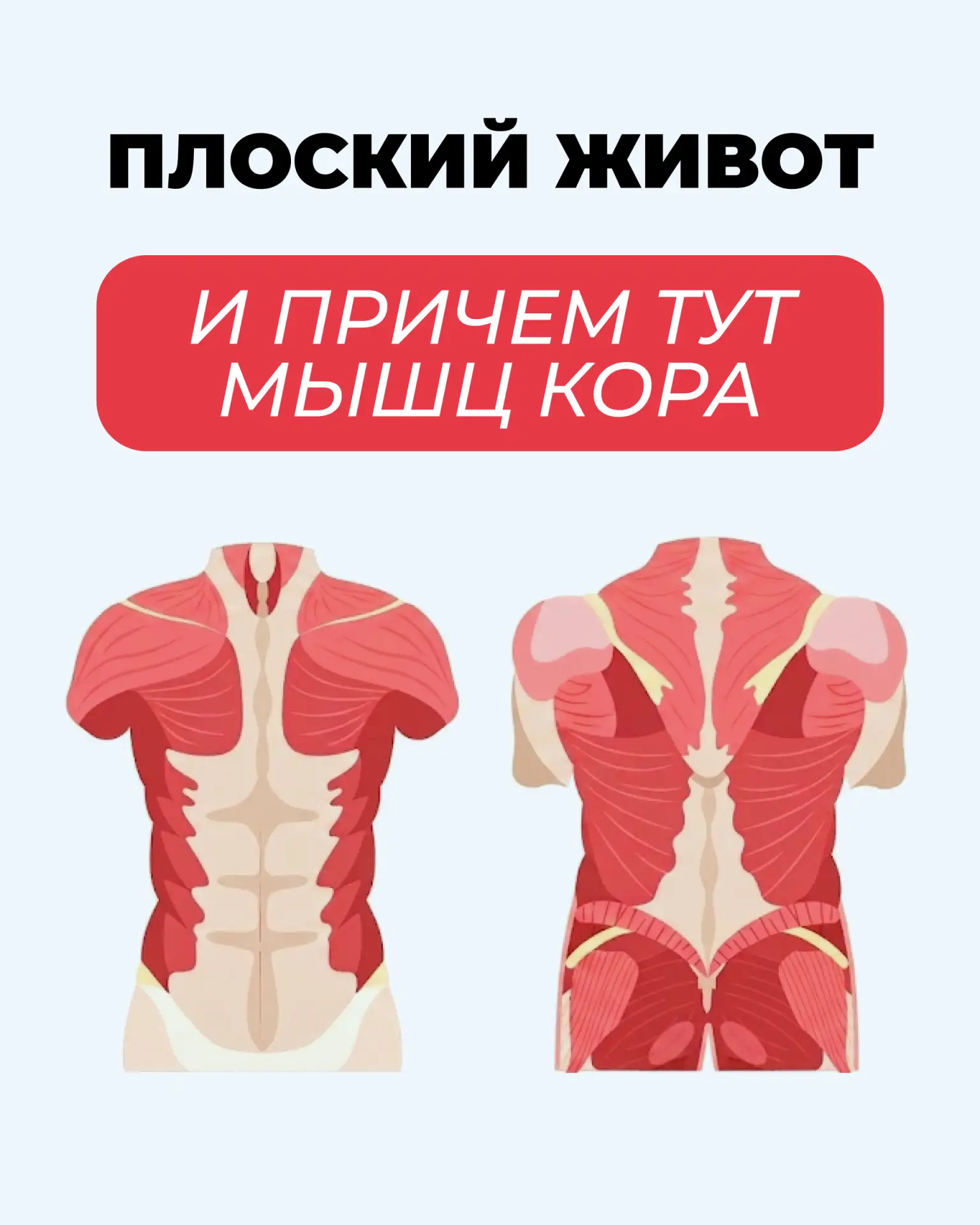 Плоский живот начинается не с пресса?
