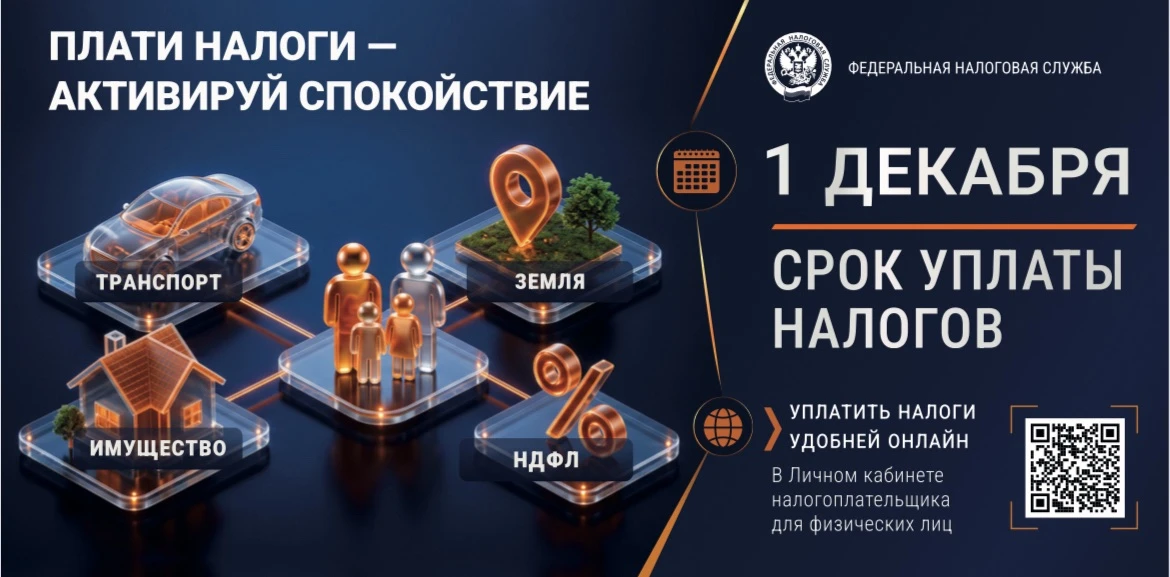 💳 НАЛОГИ: ЧТО НУЖНО УСПЕТЬ ДО 1 ДЕКАБРЯ