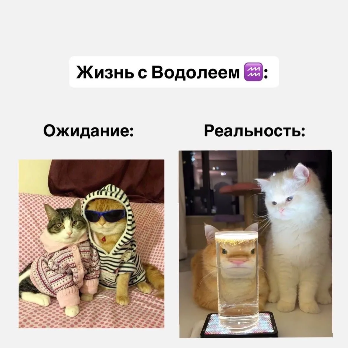Жизнь со знаками зодиака, часть 2  Если согласны с постом, оставляйте реакцию ❤️  Астрология | Подпи