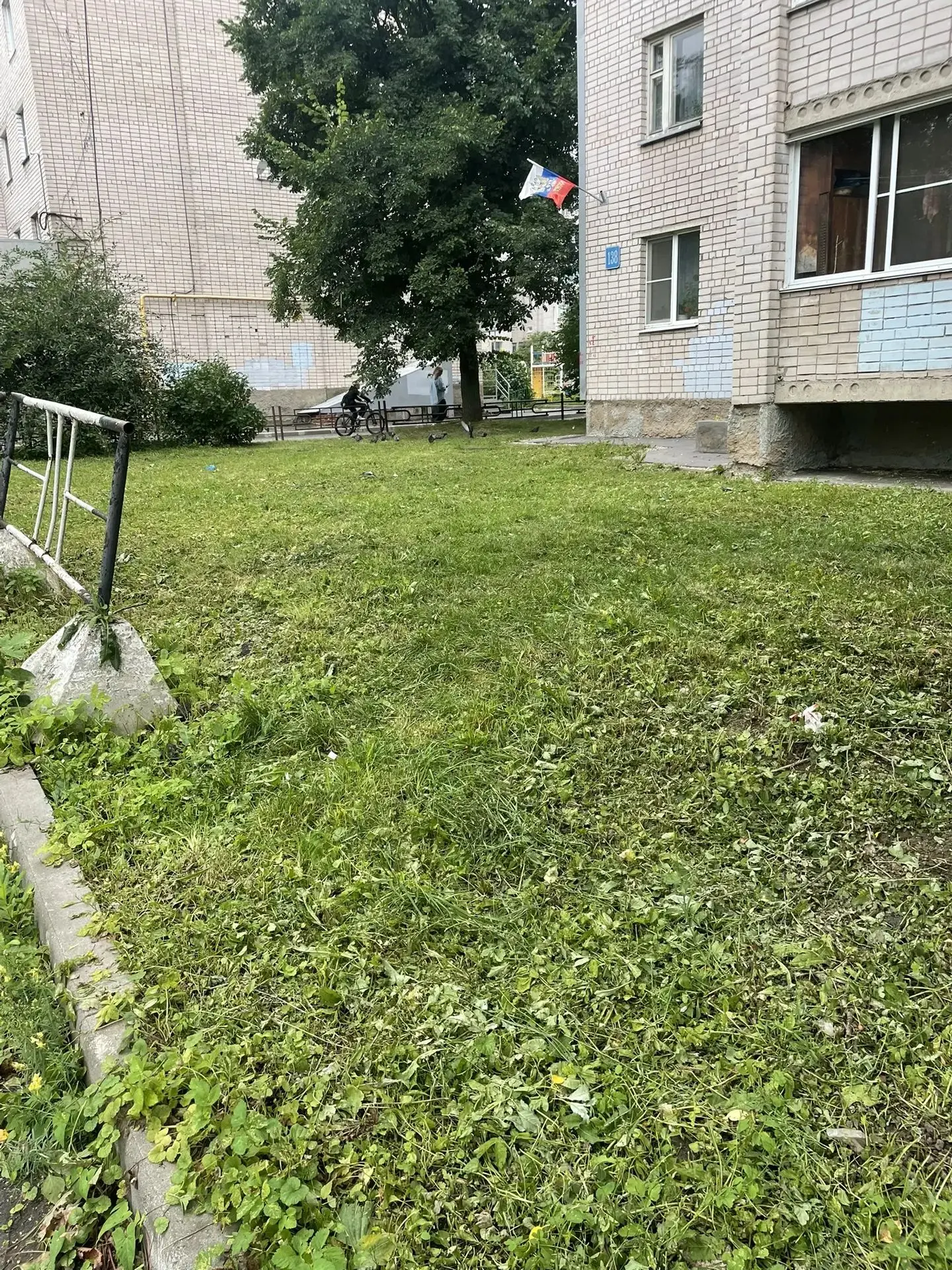 ✅Произведен покос травы по ул. Ленинградская, д. 138