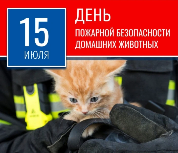 У Вас есть домашние животные?