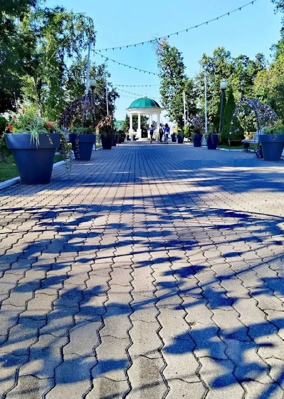 ☀️ Доброе утро, Орёл!