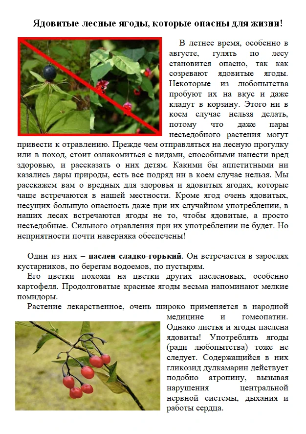 ❗ ЯДОВИТЫЕ ЯГОДЫ, КОТОРЫЕ ОПАСНЫ ДЛЯ ЖИЗНИ
