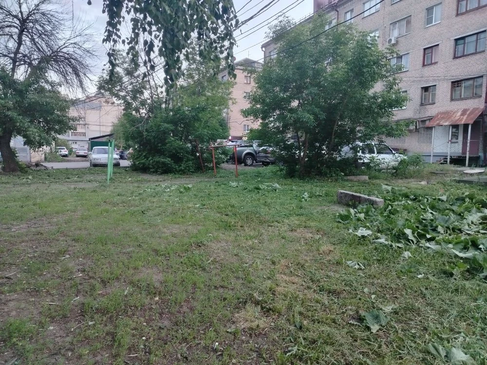 В соответствии с графиком покоса сорной растительности, продолжаются работы по окосу те...
