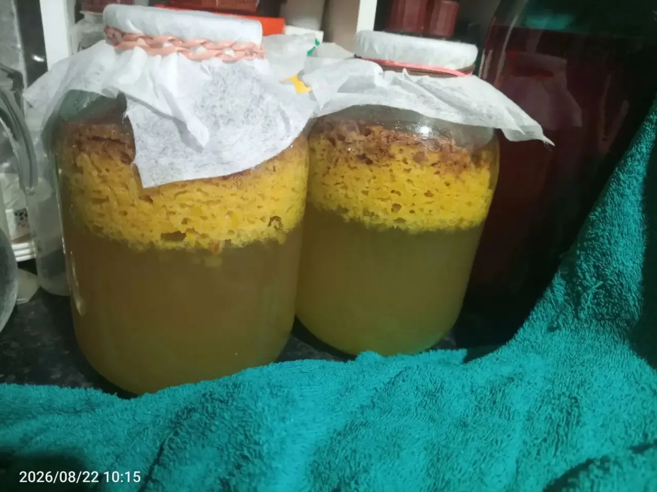 💛ДОБРЕЧКО💛 Попросила Илюху сфоткать мне будущее сливовое вино, которое вечером постав...