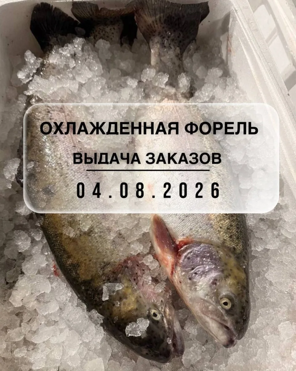 🐟 Поставка охлажденной форели 04 августа!

Самовывоз со склада Терешковой 39/4, с 13.00 до 19.00!

