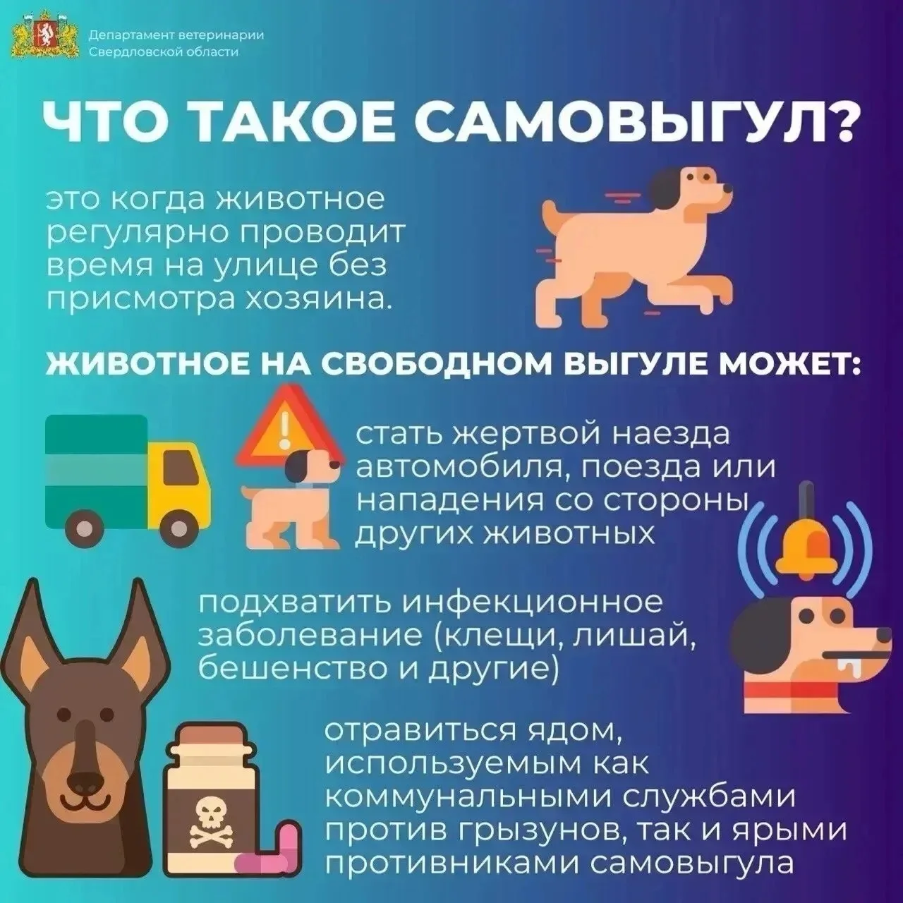 Уважаемые жители городского округа ЗАТО Свободный!