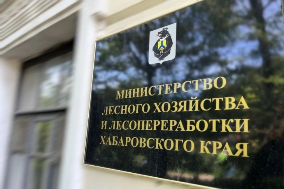 Внесены изменения в лесохозяйственный регламент Хабаровского лесничества