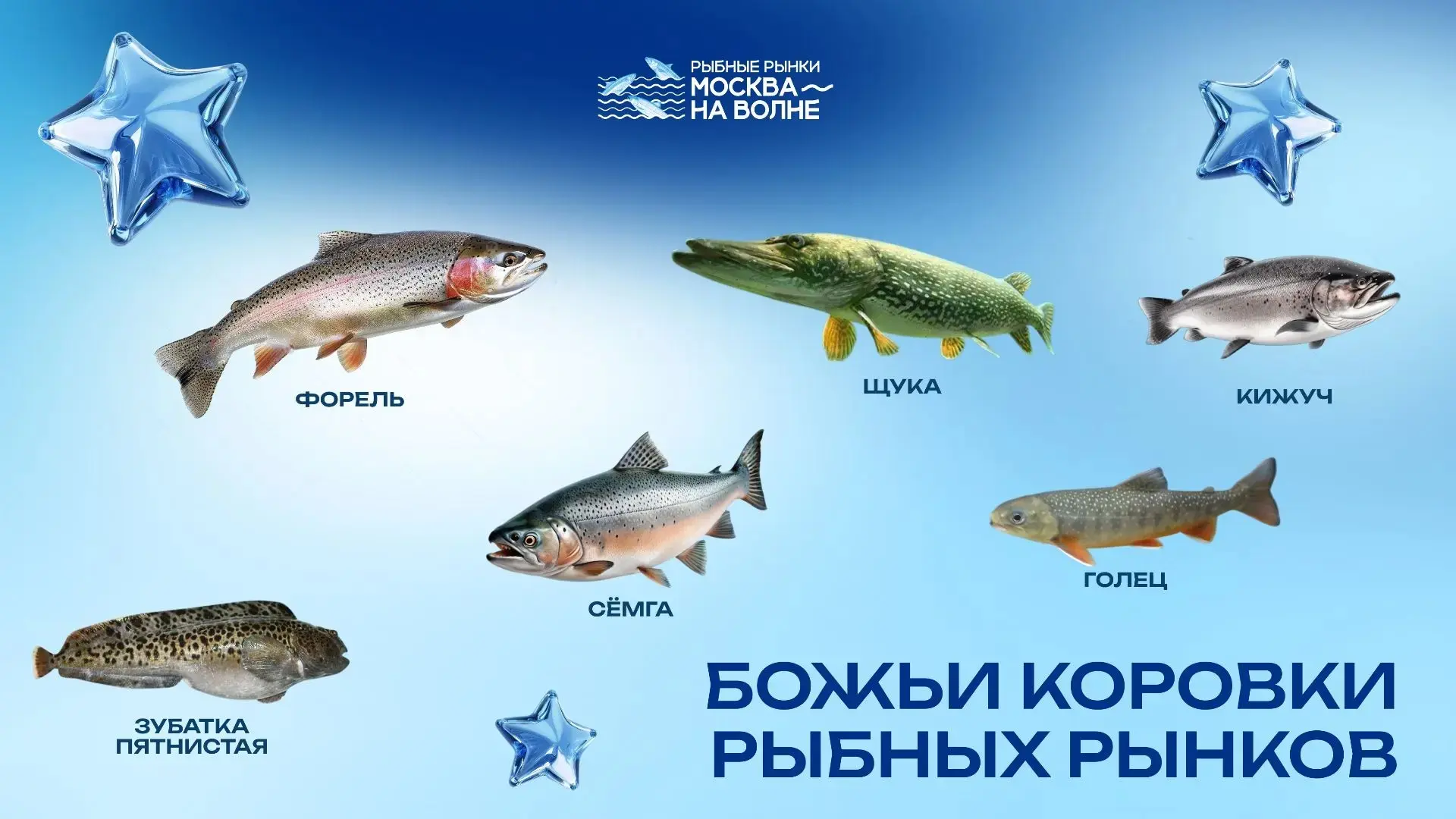 🐞 Крапинка на чешуе — признак стиля

🤩 Кто сказал, что божьи коровки живут только в траве? 15 июня