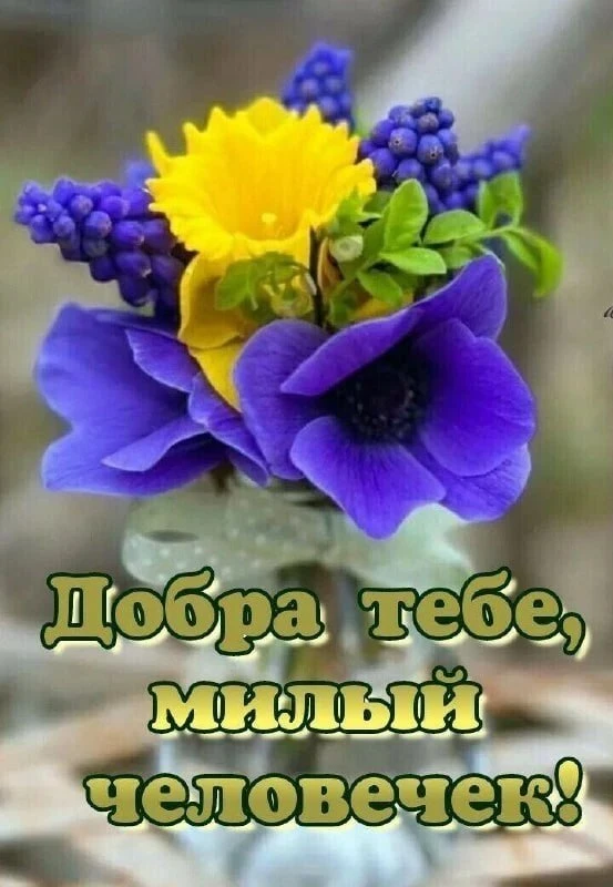 🙏Оставляйте реакции, если понравилась открытка и делитесь с близкими ❤️

 

Подпишись на нас 👇
🌹 