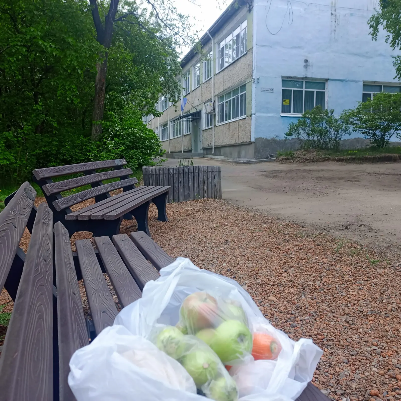 Добро не уходит на каникулы! 🐾🍎

Казалось бы, в школе должны наступить тишина и покой, но только н