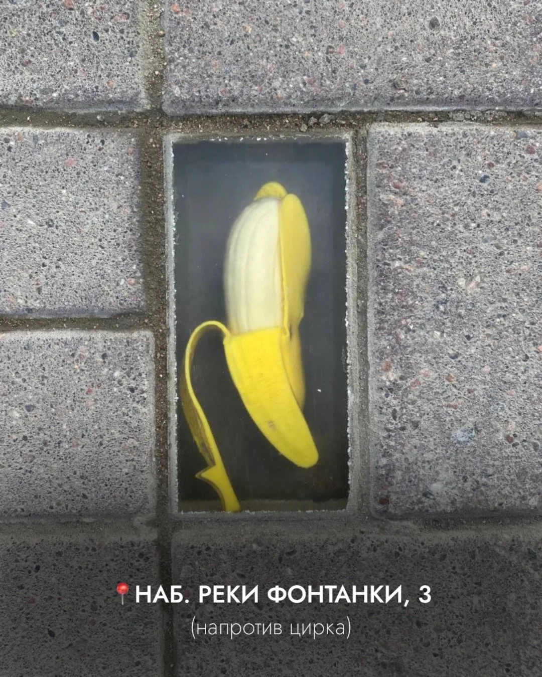 Удивительные плитки под ногами Петербурга: 21 адрес, где искать