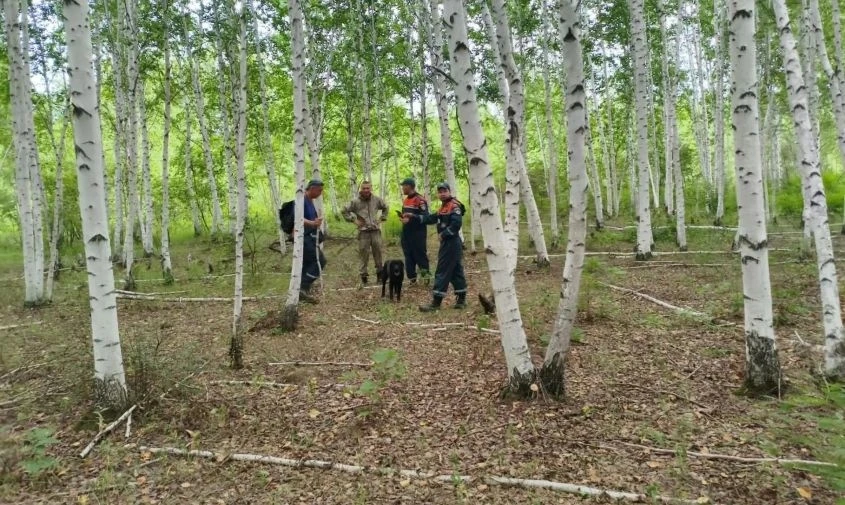 🍄 Поиски продолжаются: в лесу нашли нож грибника, пропавшего в Ромненском округе

В Ромненском окру