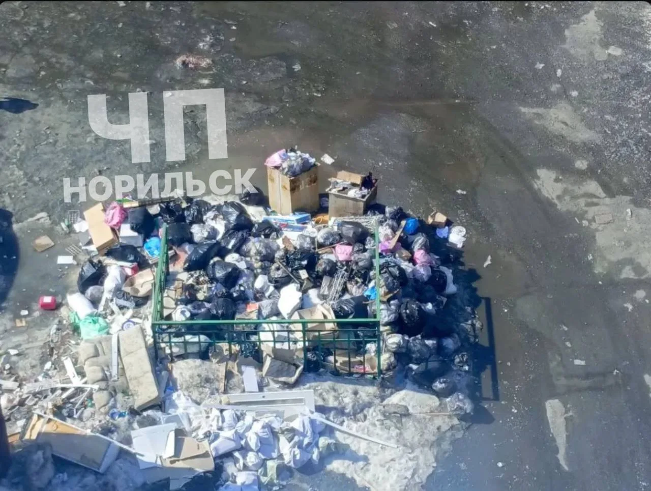 ⚡️Норильчане жаловались на мусор, а подрядчик воровал

Директор ООО «Профит» получил 6 лет колонии з