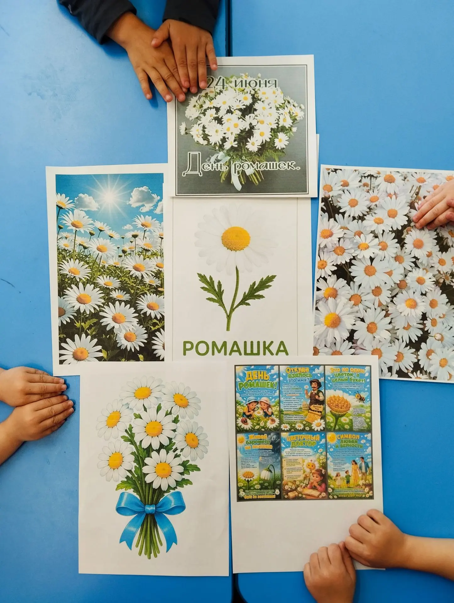 24 июня отмечается День ромашек🤍
Ромашка- полевой цветок, который считается символом русской природ