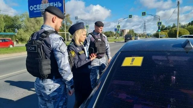 Автопарк должников под ударом: в Псковской области на торги выставили десятки машин