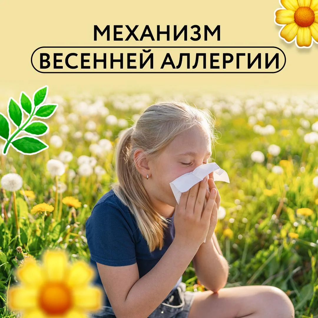 🌿 Весна приходит не только с солнцем и первыми листьями. Для многих это еще и время бесконечных непр
